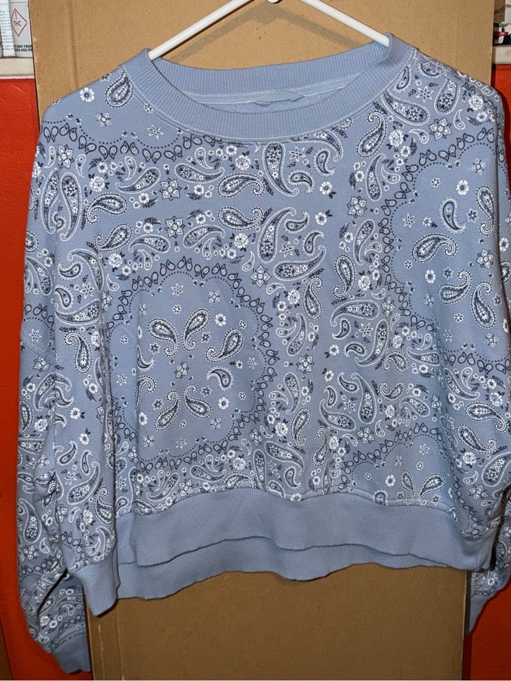 aerie Light Blue Paisley Bandana Sweatshirt